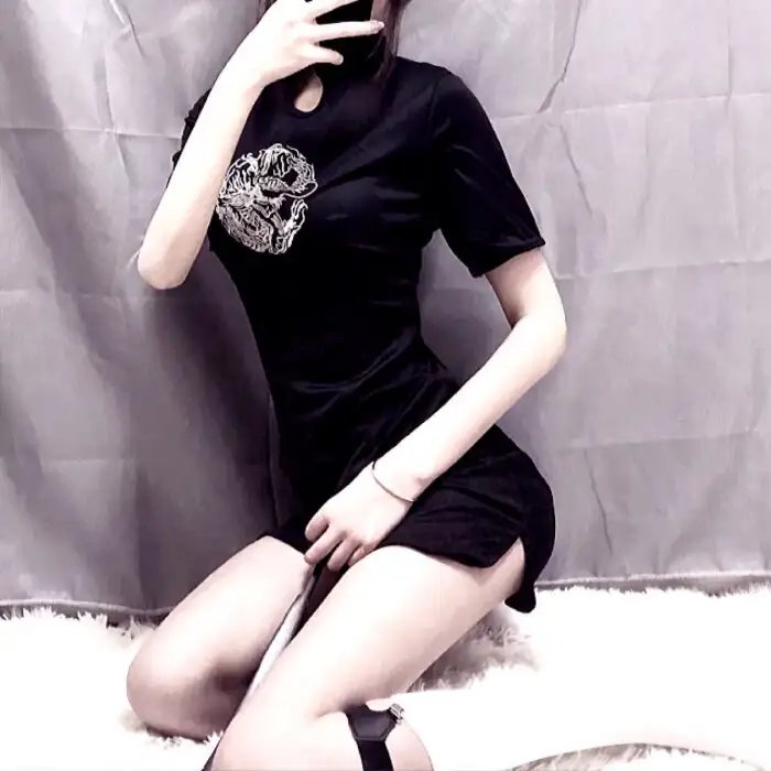 东林恨史