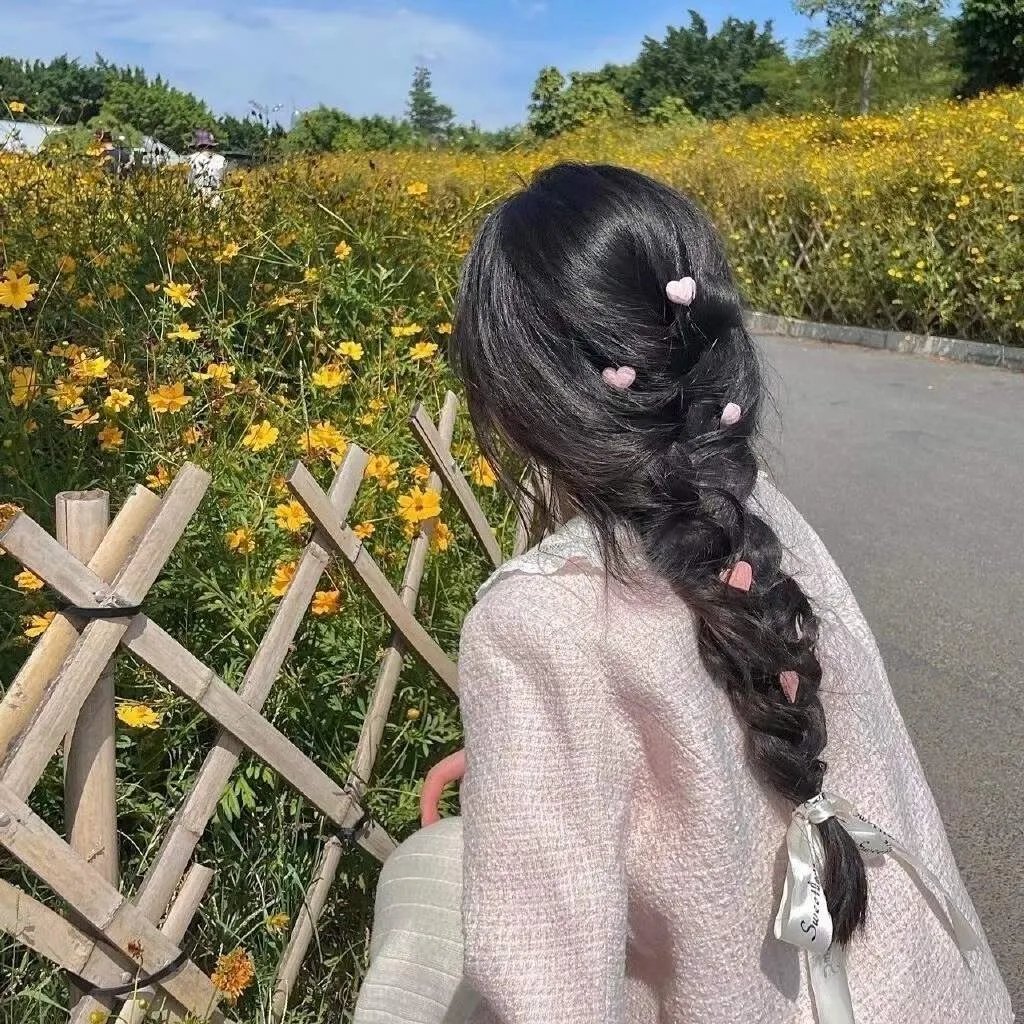 小猫熊历险记